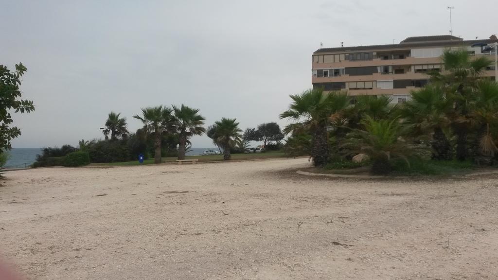 Apartment Parquemar La Mata  Rom bilde