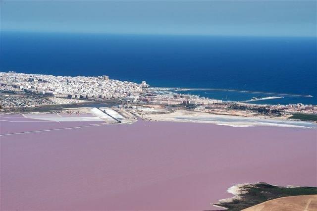 Apartment Parquemar La Mata  Rom bilde
